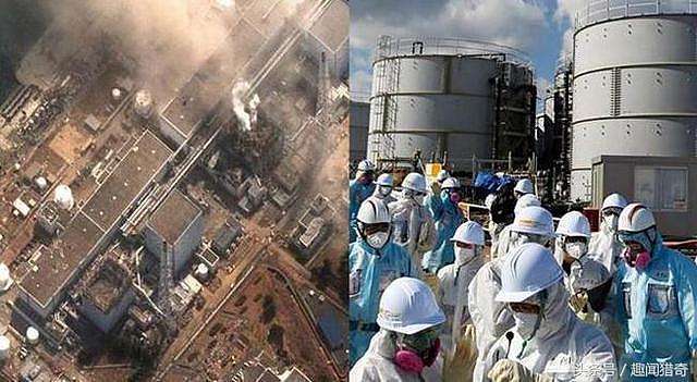 日本福岛核电站泄漏有多严重？看看附近被污染的生物你就知道了！