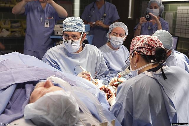 美剧《实习医生格蕾》的演员是否学到了一定的医学知识