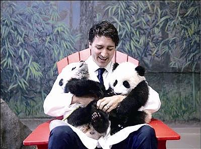 中芬签署大熊猫合作研究协议 中国“熊猫外交”再引关注